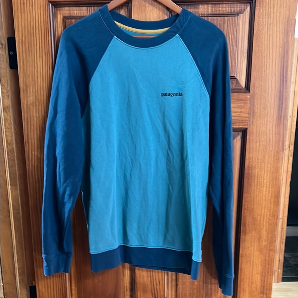 Patagonia Blue Sweatshirt (M)